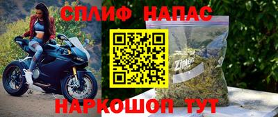 спайс Будённовск